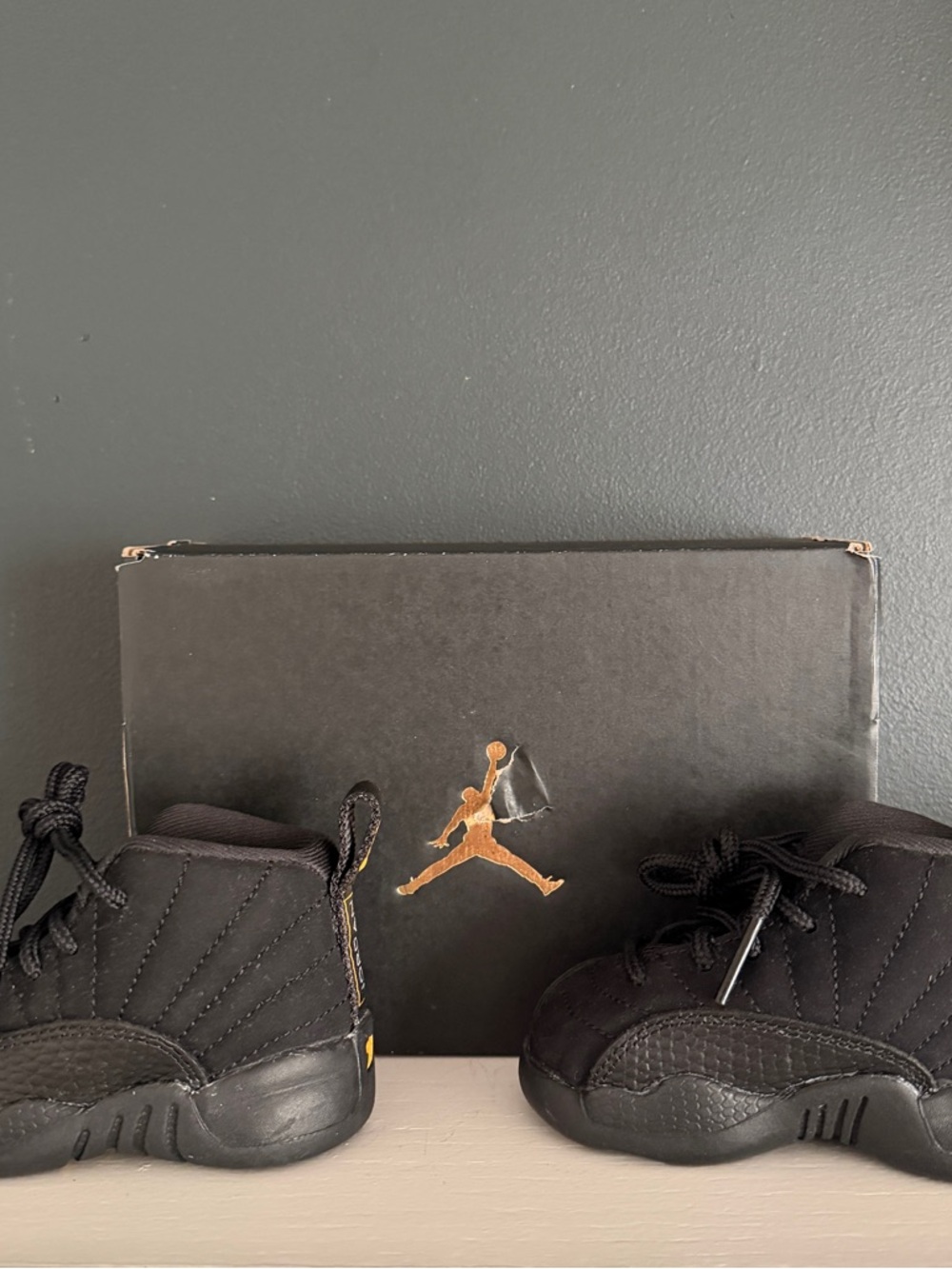 Air Jordan 12 Taxi